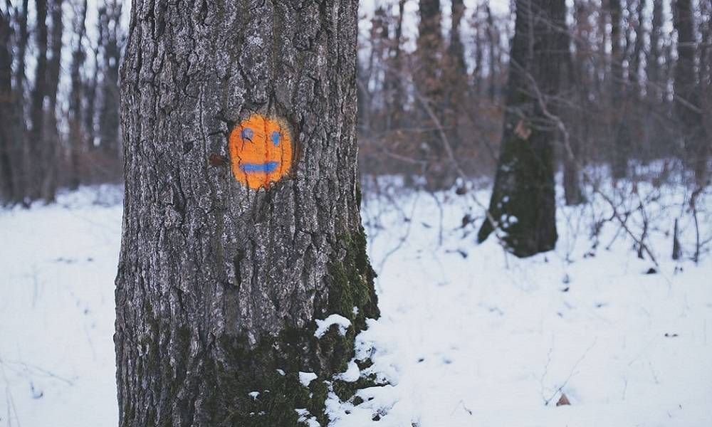 以太坊又堵又跌，做DeFi根本行不通？