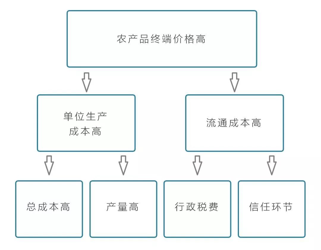 最传统与最前沿的碰撞：区块链+农业