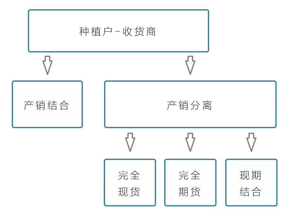 最传统与最前沿的碰撞：区块链+农业