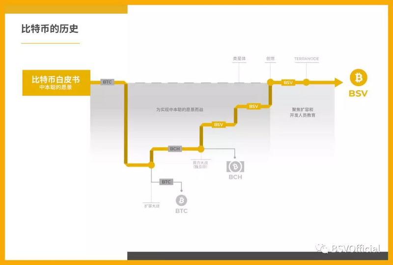 BSV一周年报告：挖出256MB大区块，发布超300个应用