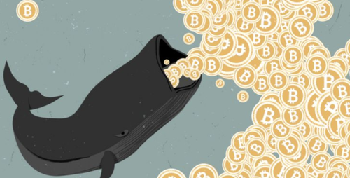 比特币链上活动徒增，“鲸鱼”们又开始积累了吗？