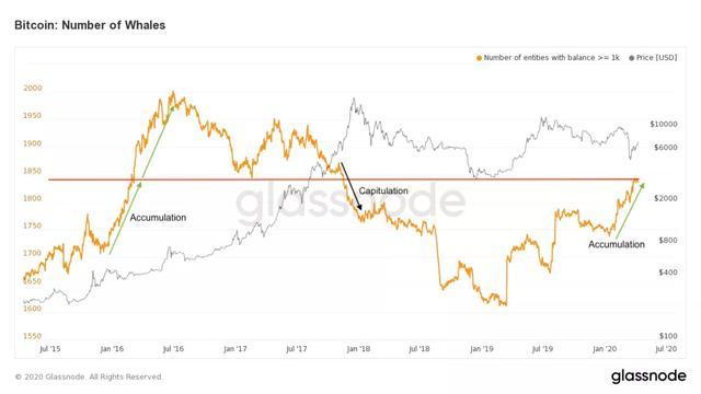 比特币链上活动徒增，“鲸鱼”们又开始积累了吗？