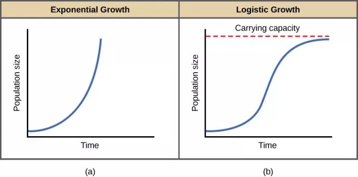 网络、细菌和人口：比特币的命运