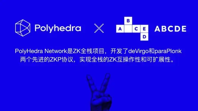 ABCDE：我们为什么投资Polyhedra Network？